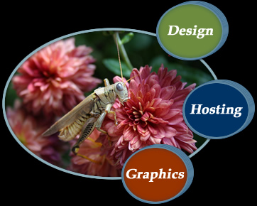 Design, Hosting, Graphics, Maintenance Design, Hosting, Graphics, Maintenance